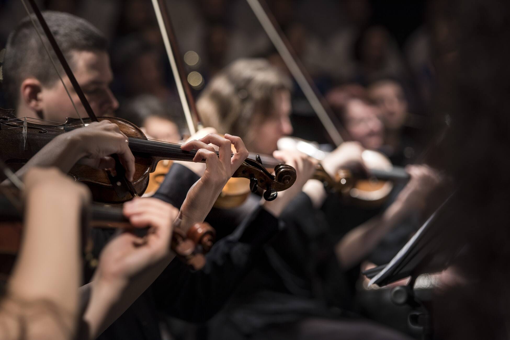 Close up of string section in orchestra 